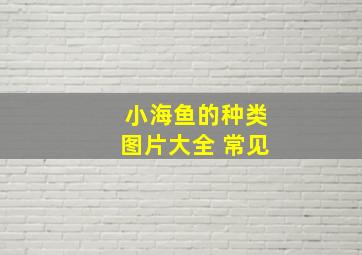 小海鱼的种类图片大全 常见